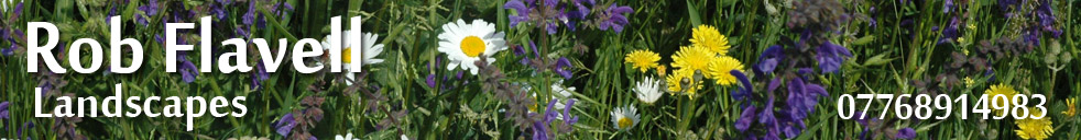 Rob Flavell Landscapes wild flower meadows banner